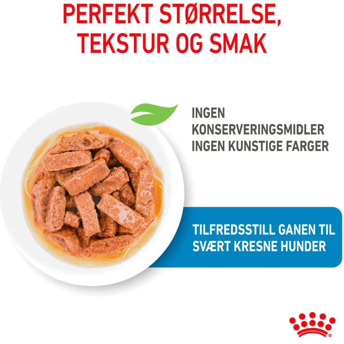 Maxi Puppy 40x140 g>Royal Canin Discount