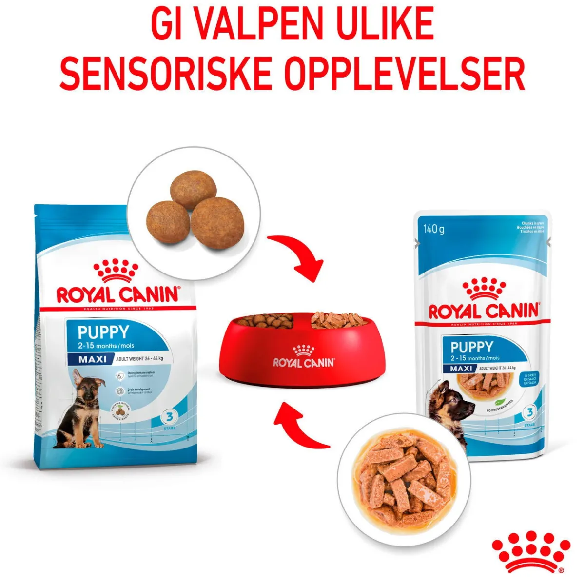 Maxi Puppy 40x140 g>Royal Canin Discount
