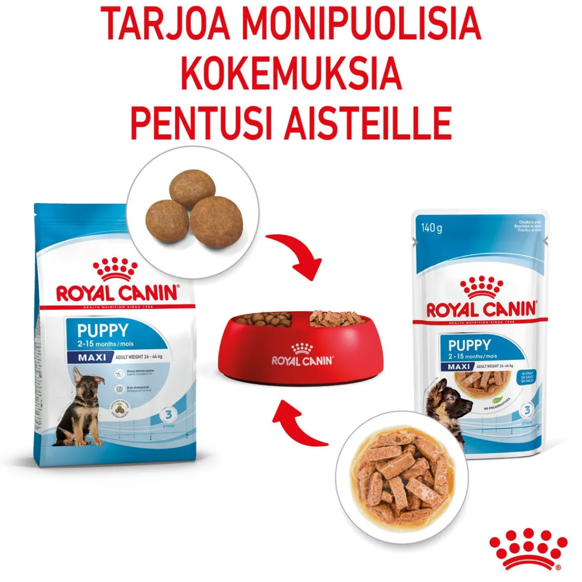 Maxi Puppy 40x140 g>Royal Canin Discount