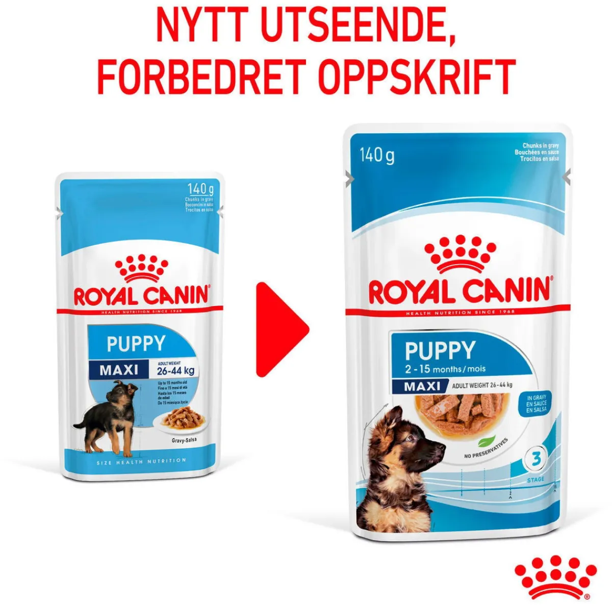 Maxi Puppy 40x140 g>Royal Canin Discount