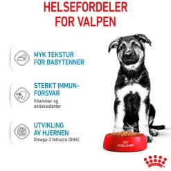 Maxi Puppy 40x140 g>Royal Canin Discount