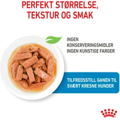 Maxi Puppy 40x140 g>Royal Canin Discount