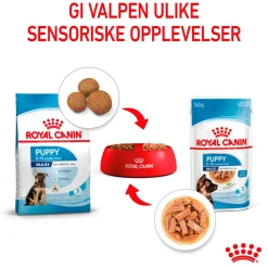 Maxi Puppy 40x140 g>Royal Canin Discount