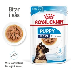 Maxi Puppy 40x140 g>Royal Canin Discount