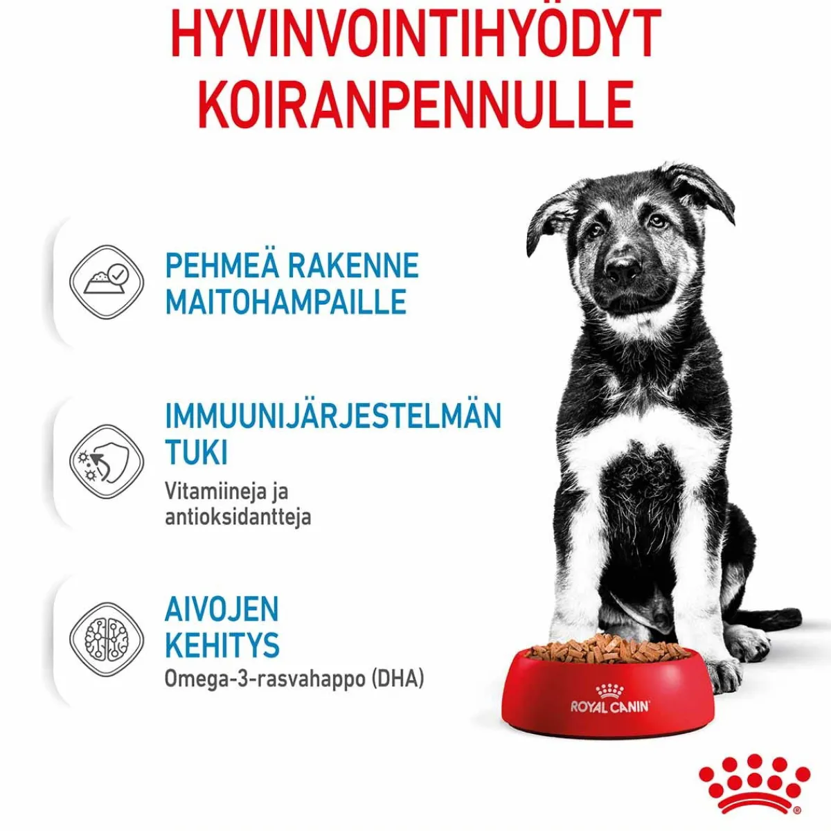 Maxi Puppy 40x140 g>Royal Canin Discount