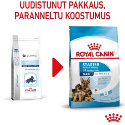 Maxi Starter>Royal Canin