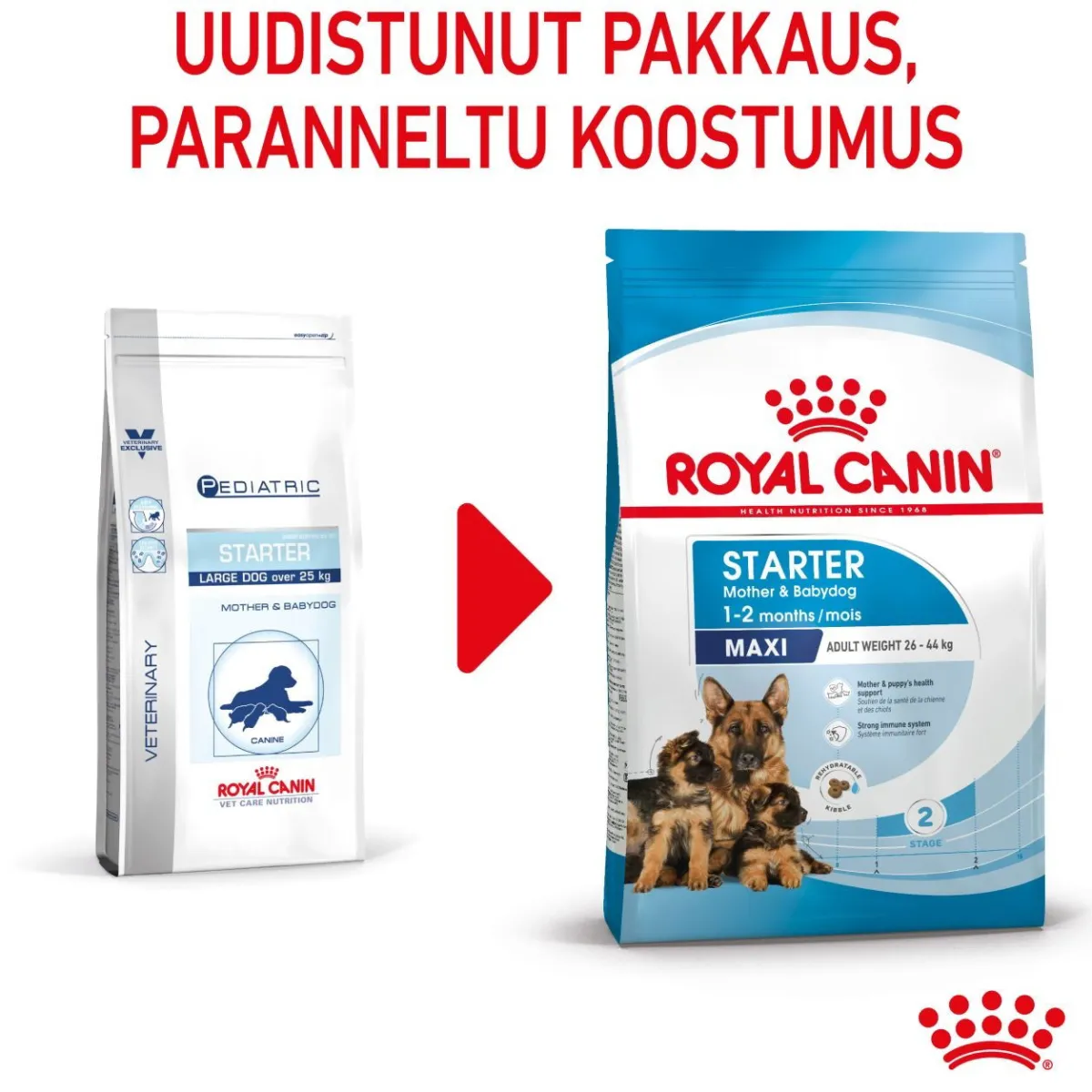 Maxi Starter>Royal Canin