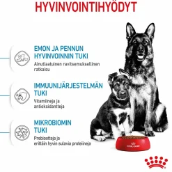 Maxi Starter>Royal Canin