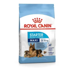 Maxi Starter>Royal Canin