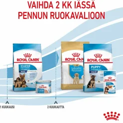 Maxi Starter>Royal Canin
