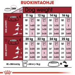 Medium Adult 7+>Royal Canin Sale