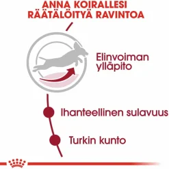 Medium Adult 7+>Royal Canin Sale