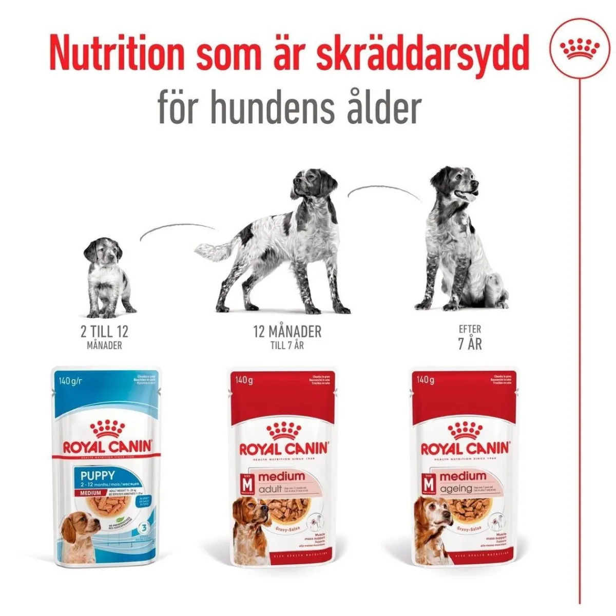 Medium Adult 40 x 140 g>Royal Canin Sale