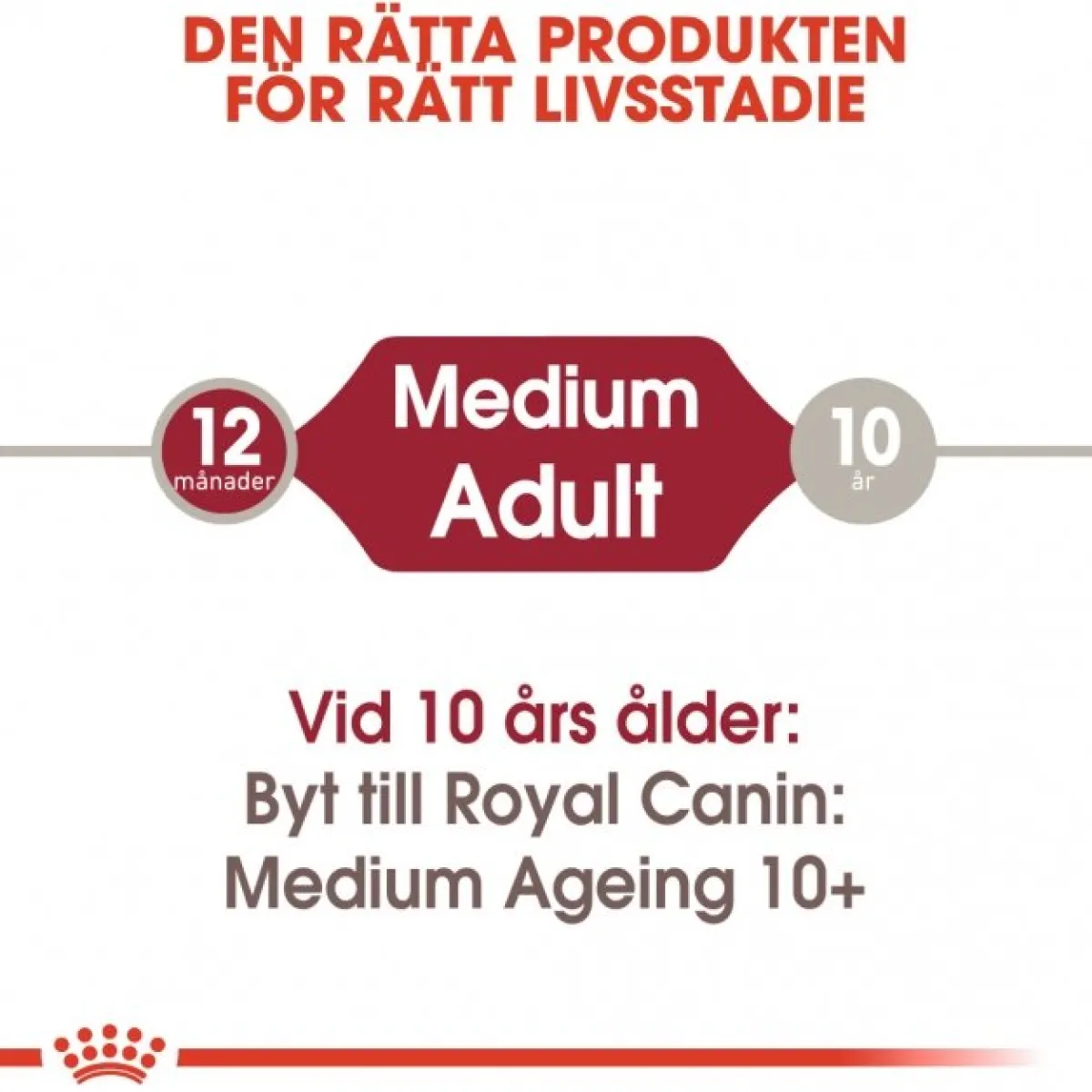 Medium Adult 40 x 140 g>Royal Canin Sale