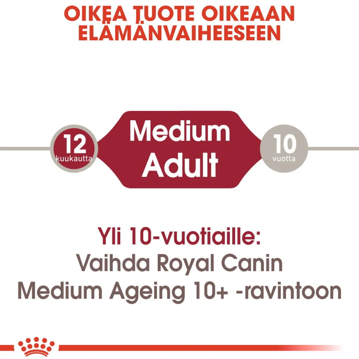 Medium Adult 40 x 140 g>Royal Canin Sale