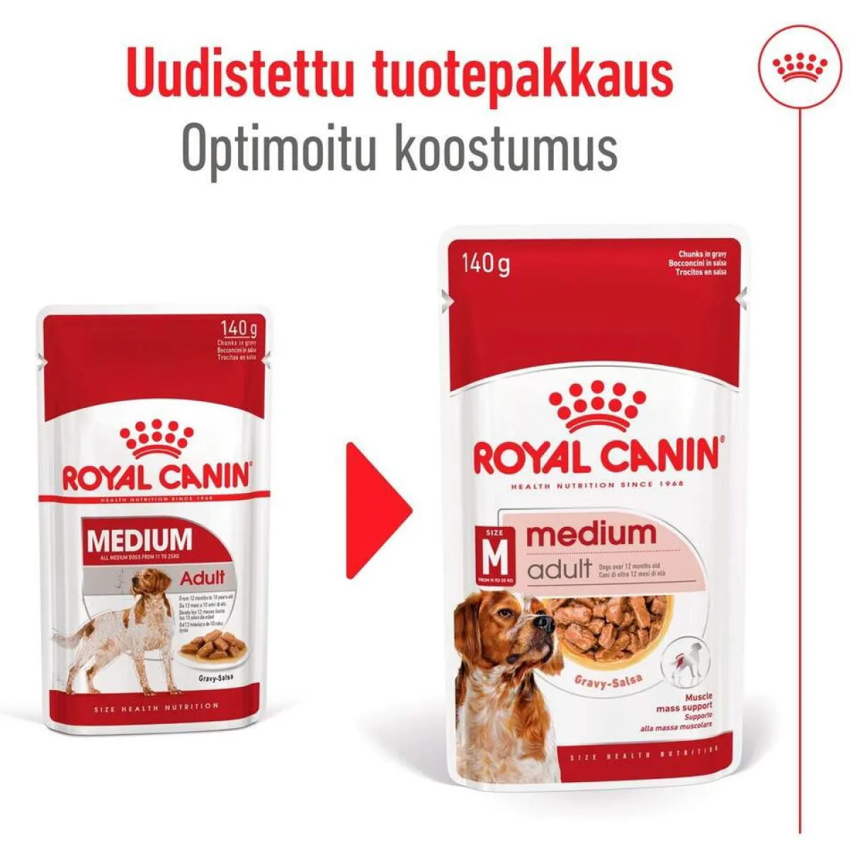Medium Adult 40 x 140 g>Royal Canin Sale