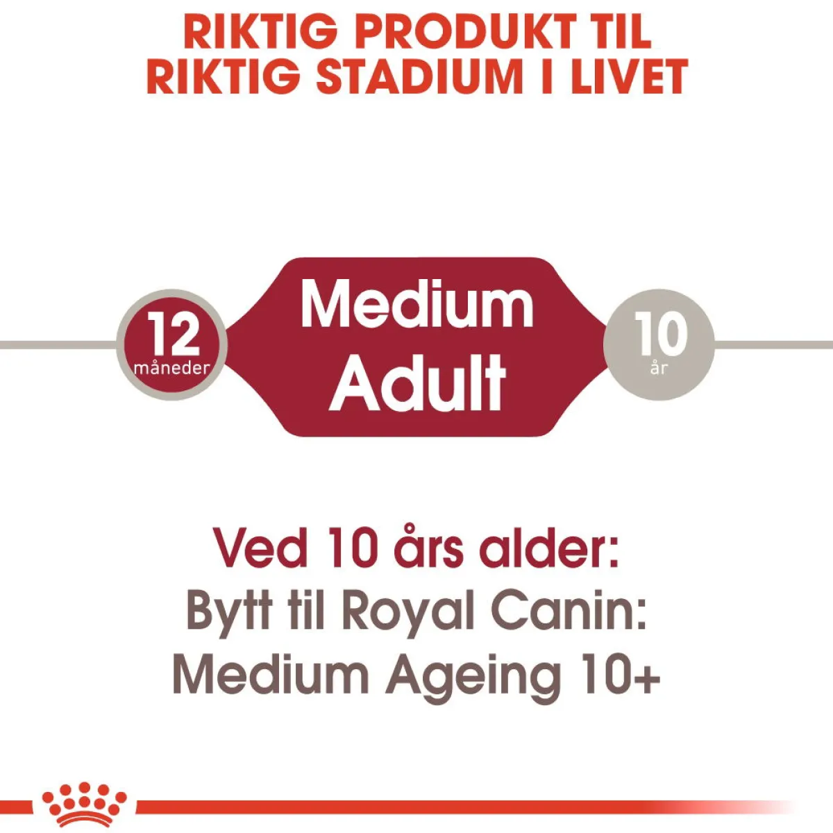 Medium Adult 40 x 140 g>Royal Canin Sale