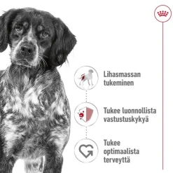 Medium Adult 2 x 15 kg>Royal Canin Outlet