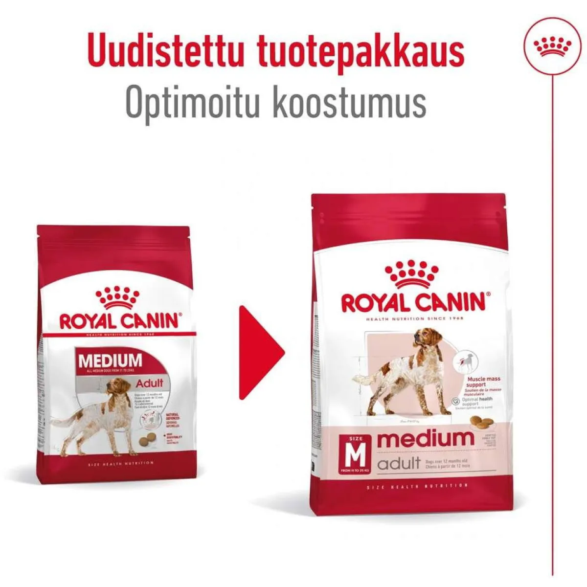 Medium Adult 2 x 15 kg>Royal Canin Outlet