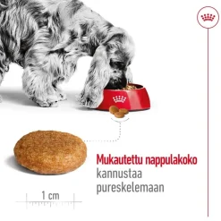 Medium Adult 2 x 15 kg>Royal Canin Outlet