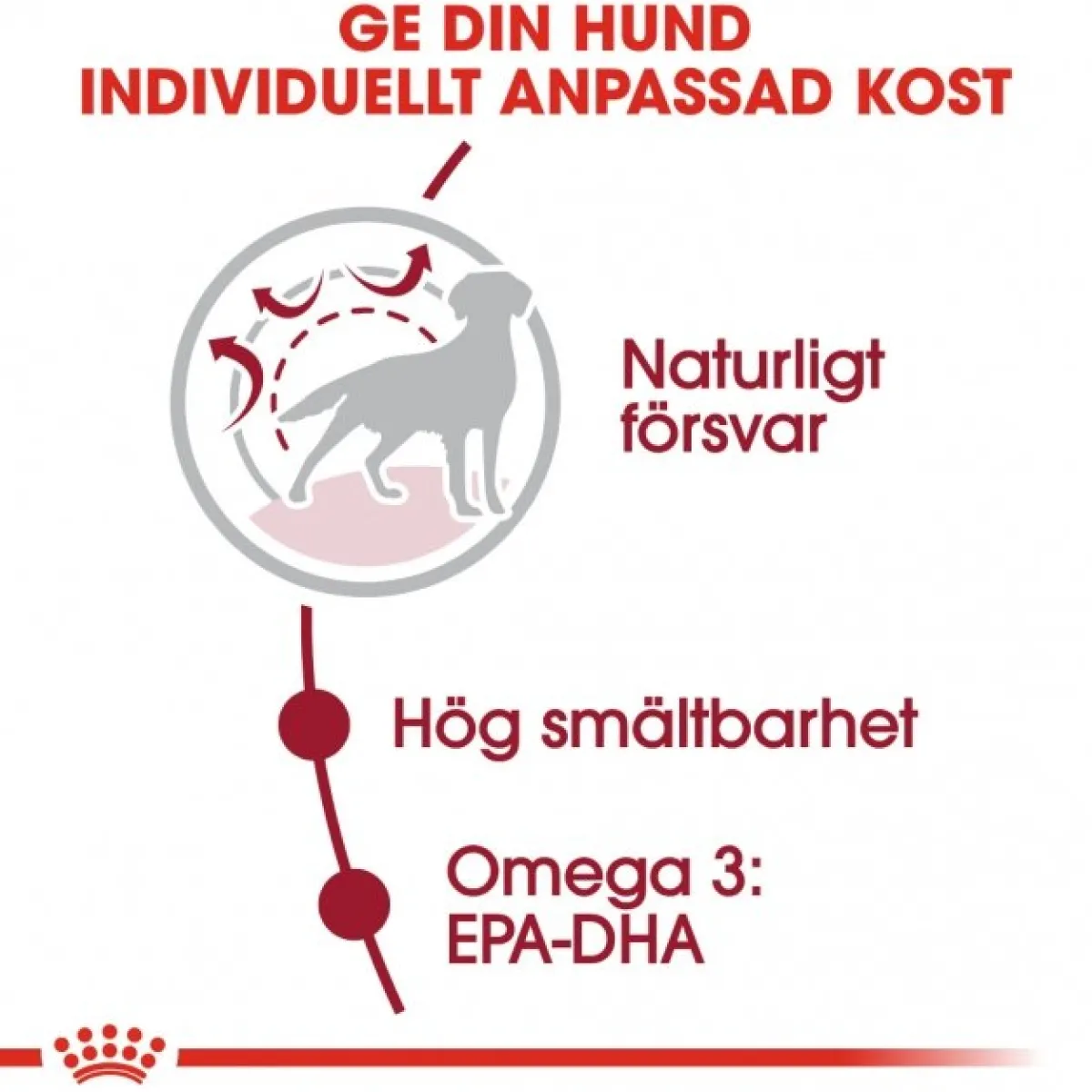 Medium Adult 2 x 15 kg>Royal Canin Outlet