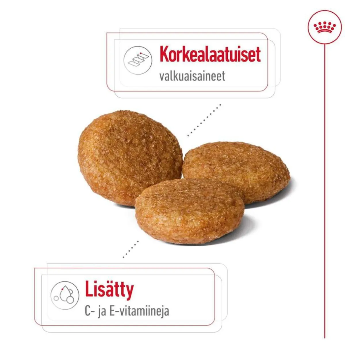 Medium Adult 2 x 15 kg>Royal Canin Outlet