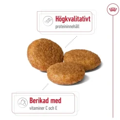 Medium Adult 2 x 15 kg>Royal Canin Outlet
