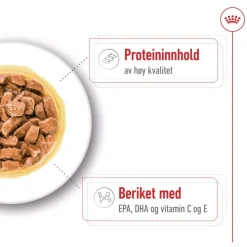Medium Ageing Wet 10 x 140 g>Royal Canin Discount