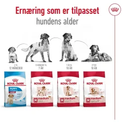 Medium Ageing 10+ 2 x 15kg>Royal Canin Best