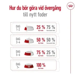 Medium Ageing 10+ 2 x 15kg>Royal Canin Best