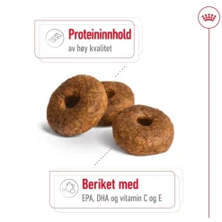 Medium Ageing 10+ 2 x 15kg>Royal Canin Best