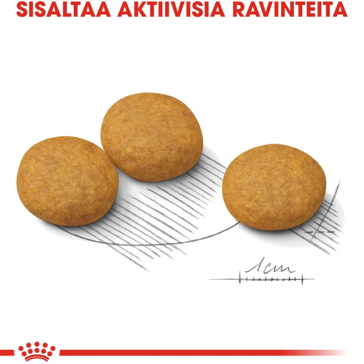 Medium Dermacomfort>Royal Canin