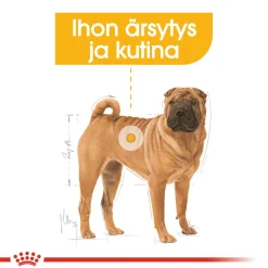 Medium Dermacomfort>Royal Canin