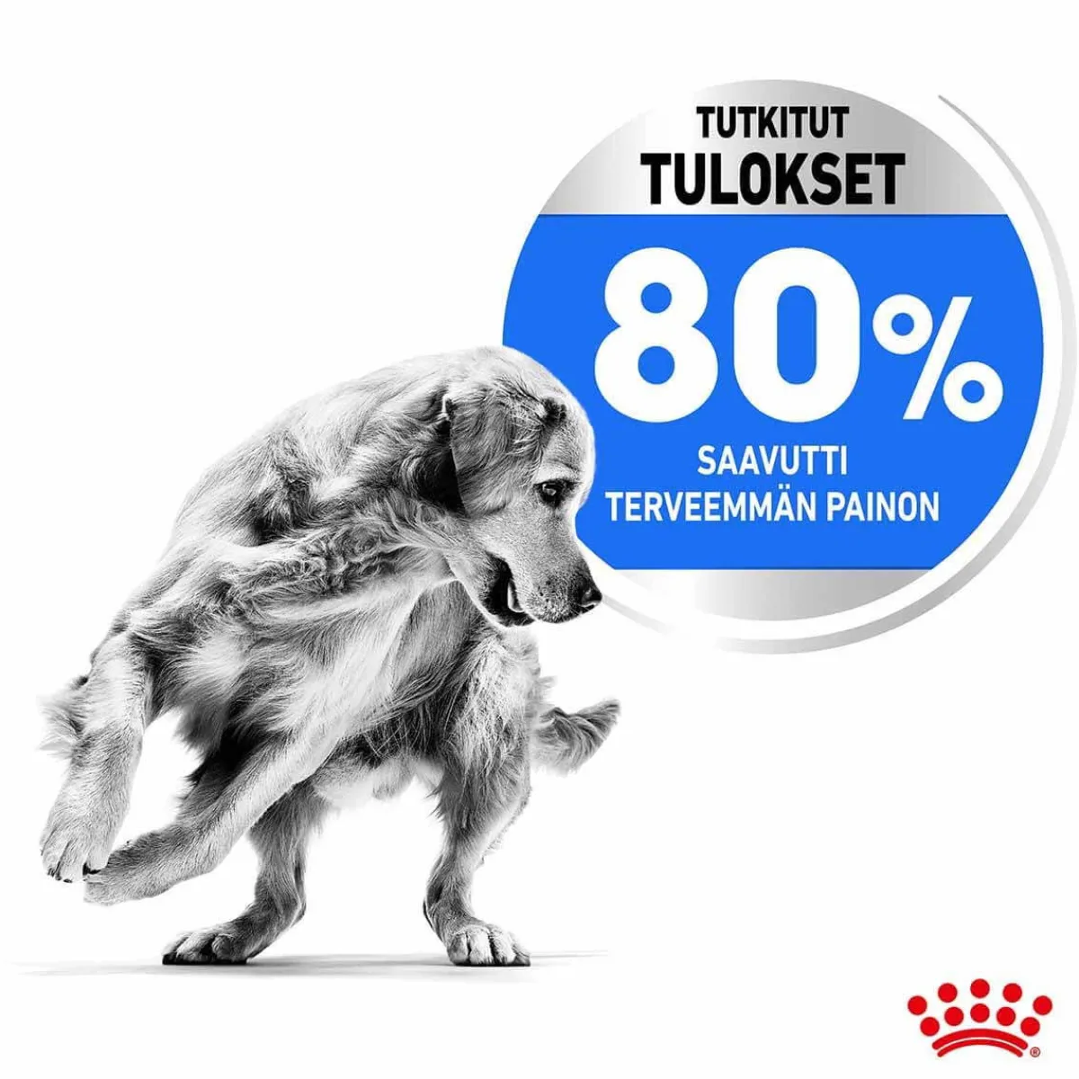 Medium Light Weight Care>Royal Canin Hot
