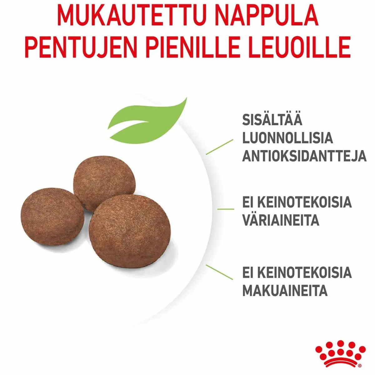 Medium Puppy>Royal Canin