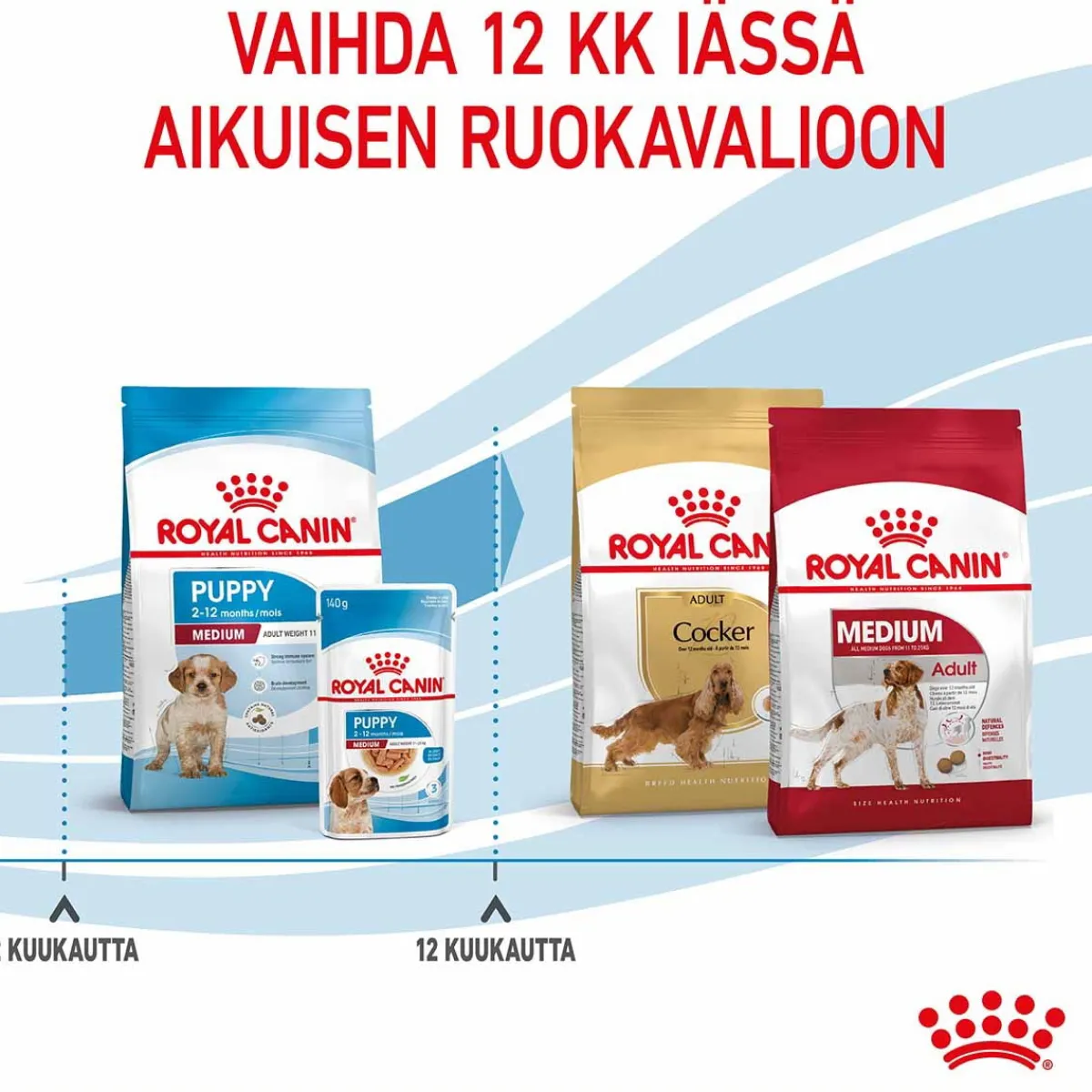 Medium Puppy>Royal Canin