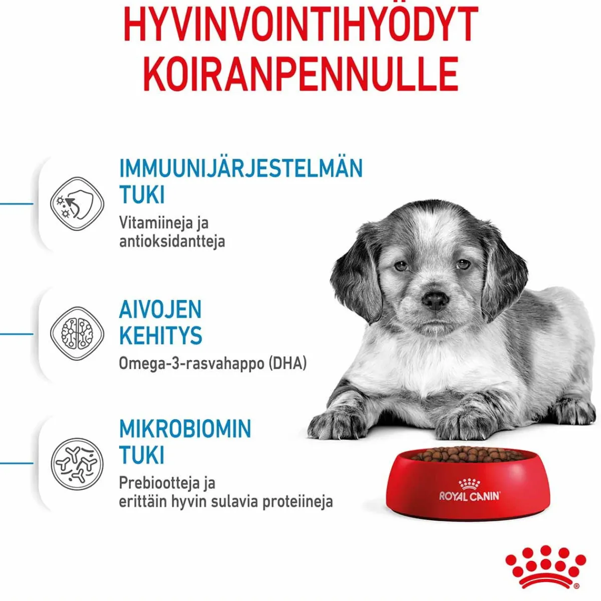 Medium Puppy>Royal Canin