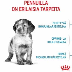 Medium Puppy>Royal Canin