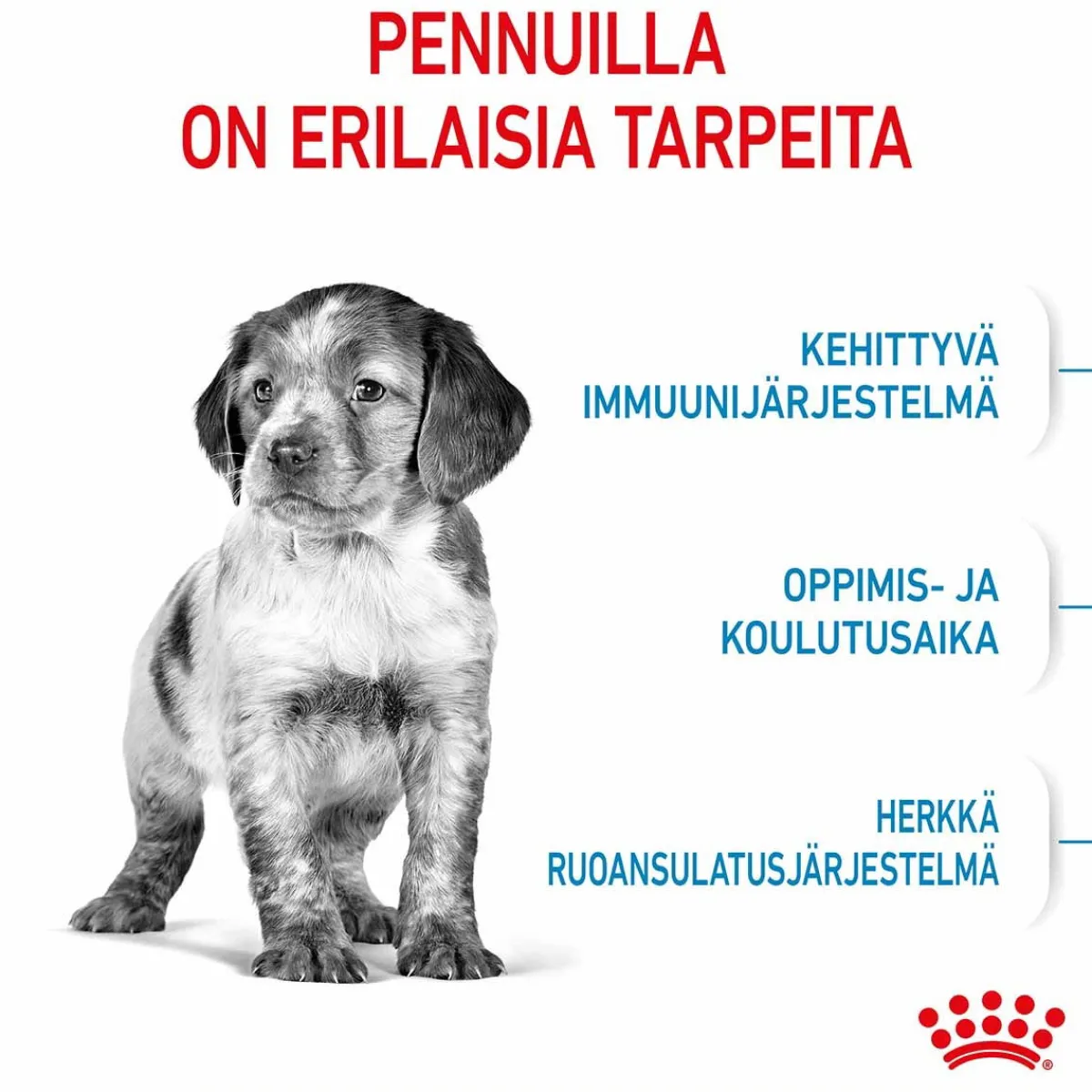 Medium Puppy>Royal Canin