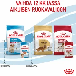 Medium Puppy Wet 10x140g>Royal Canin Outlet