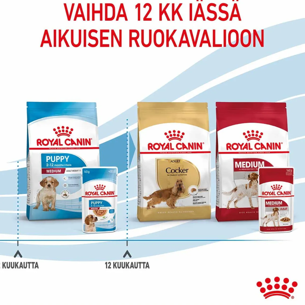 Medium Puppy Wet 10x140g>Royal Canin Outlet