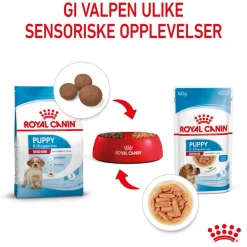Medium Puppy 40x140 g>Royal Canin Sale