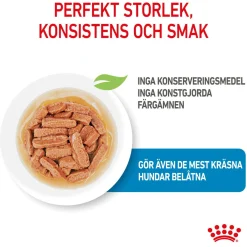 Medium Puppy 40x140 g>Royal Canin Sale