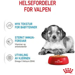 Medium Puppy 40x140 g>Royal Canin Sale