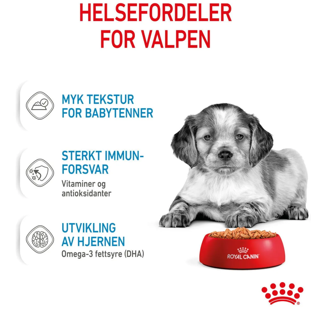 Medium Puppy 40x140 g>Royal Canin Sale