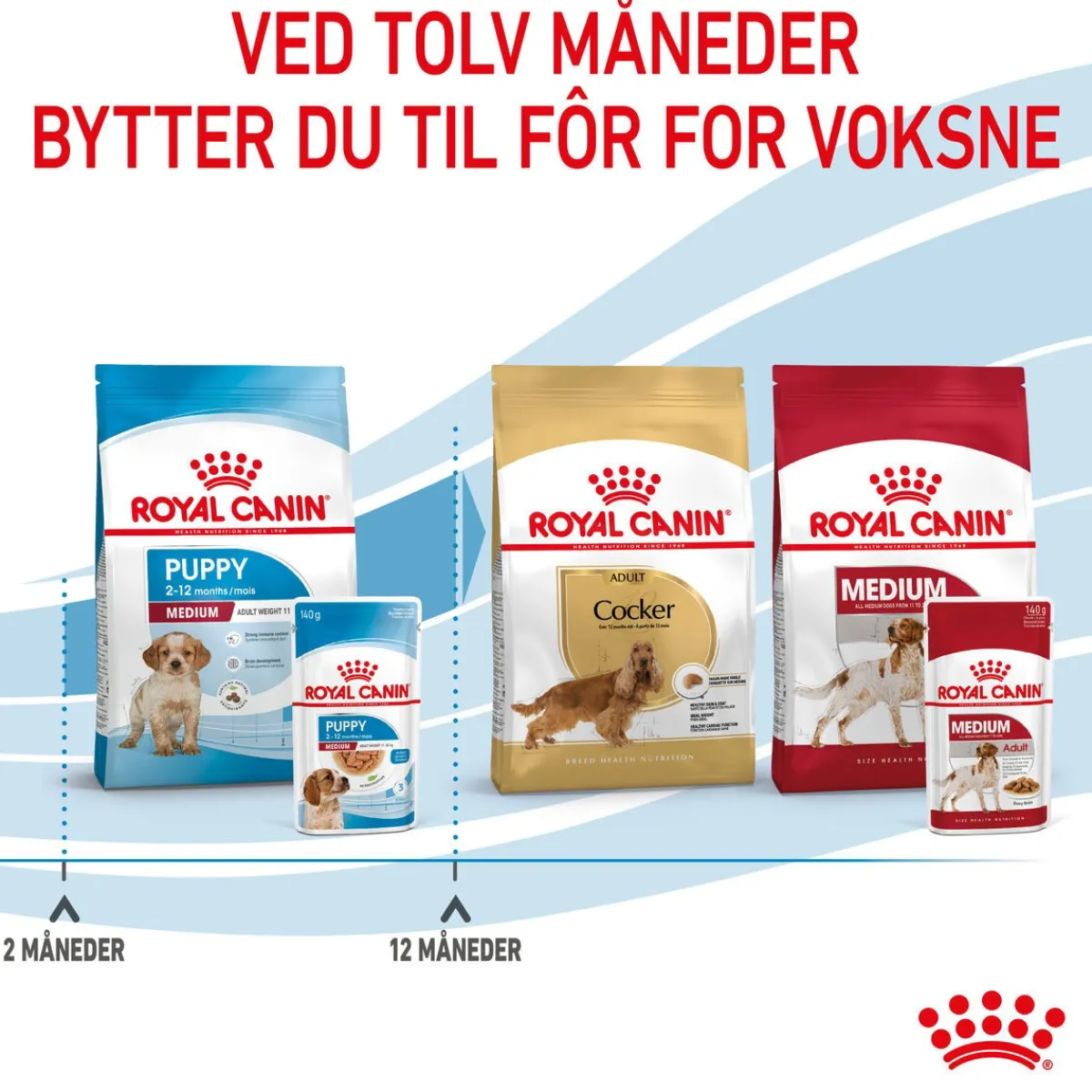 Medium Puppy 40x140 g>Royal Canin Sale