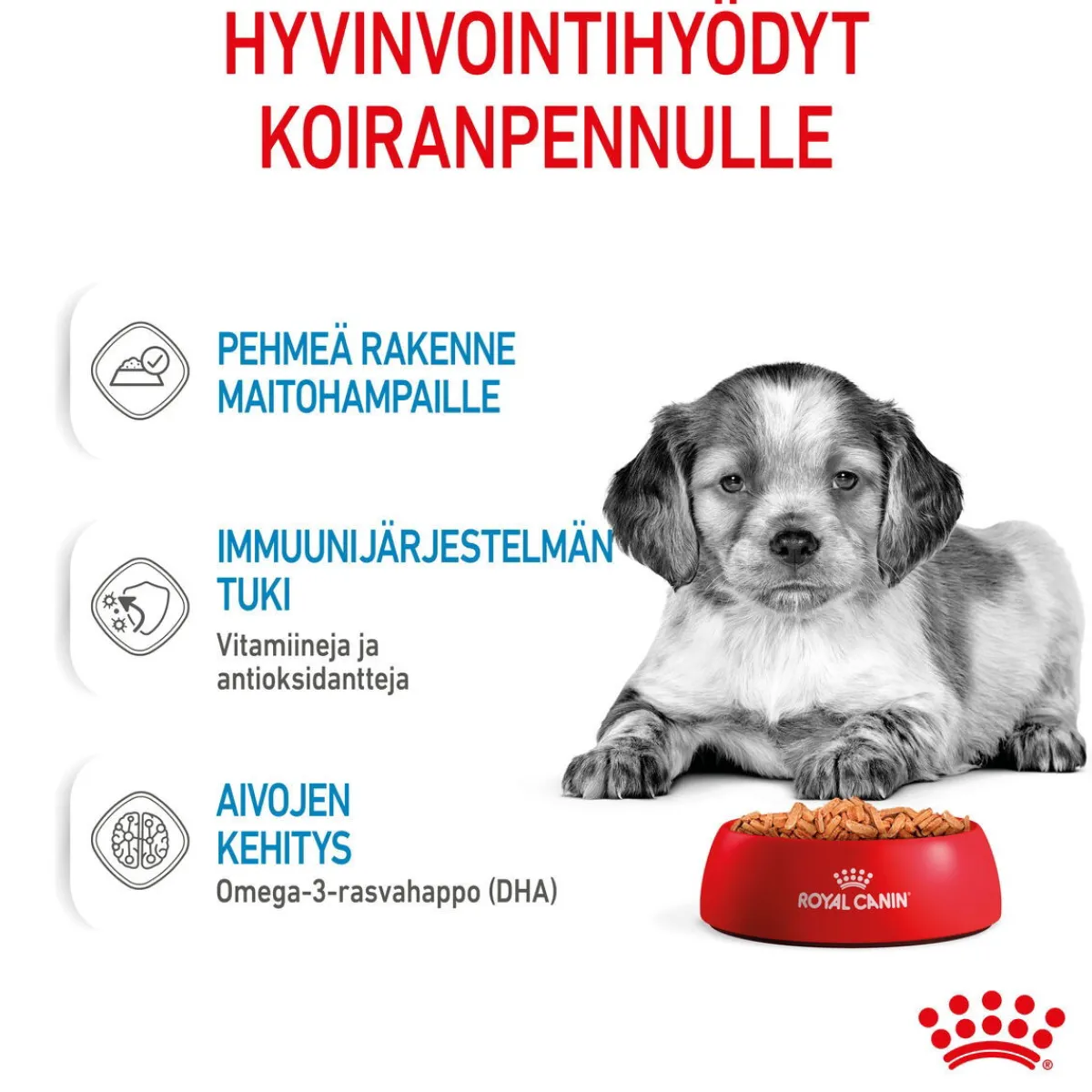 Medium Puppy 40x140 g>Royal Canin Sale