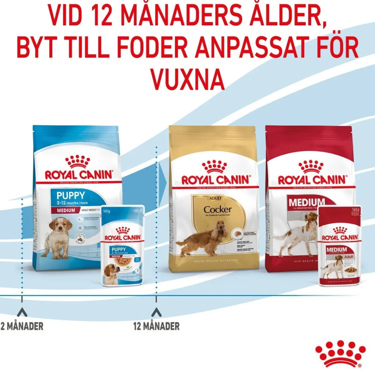 Medium Puppy 40x140 g>Royal Canin Sale