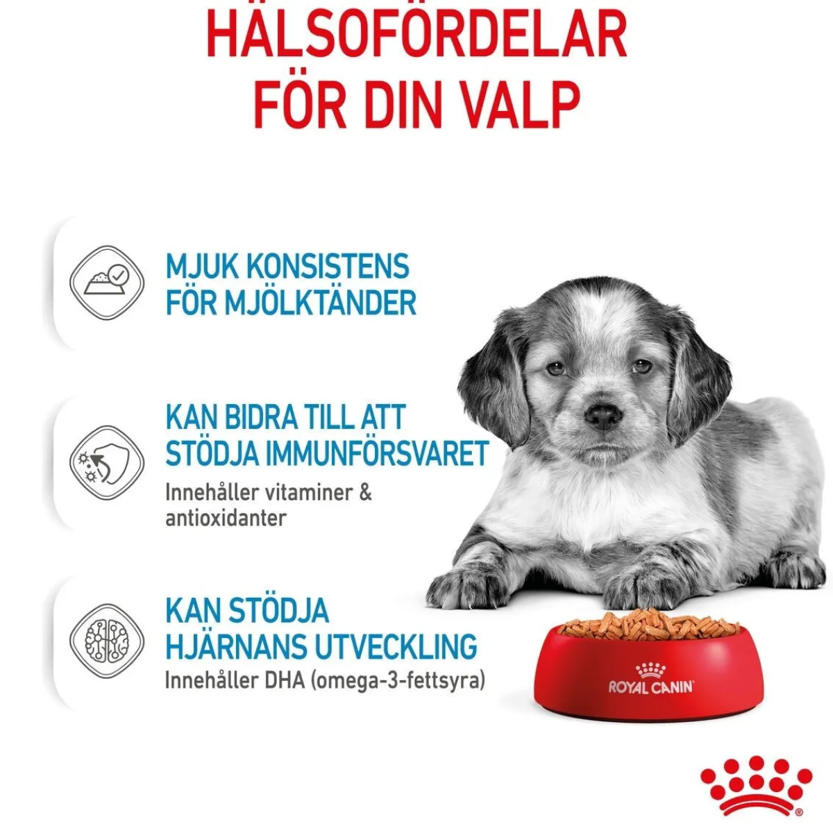 Medium Puppy 40x140 g>Royal Canin Sale