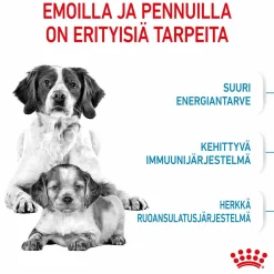 Medium Starter>Royal Canin Online